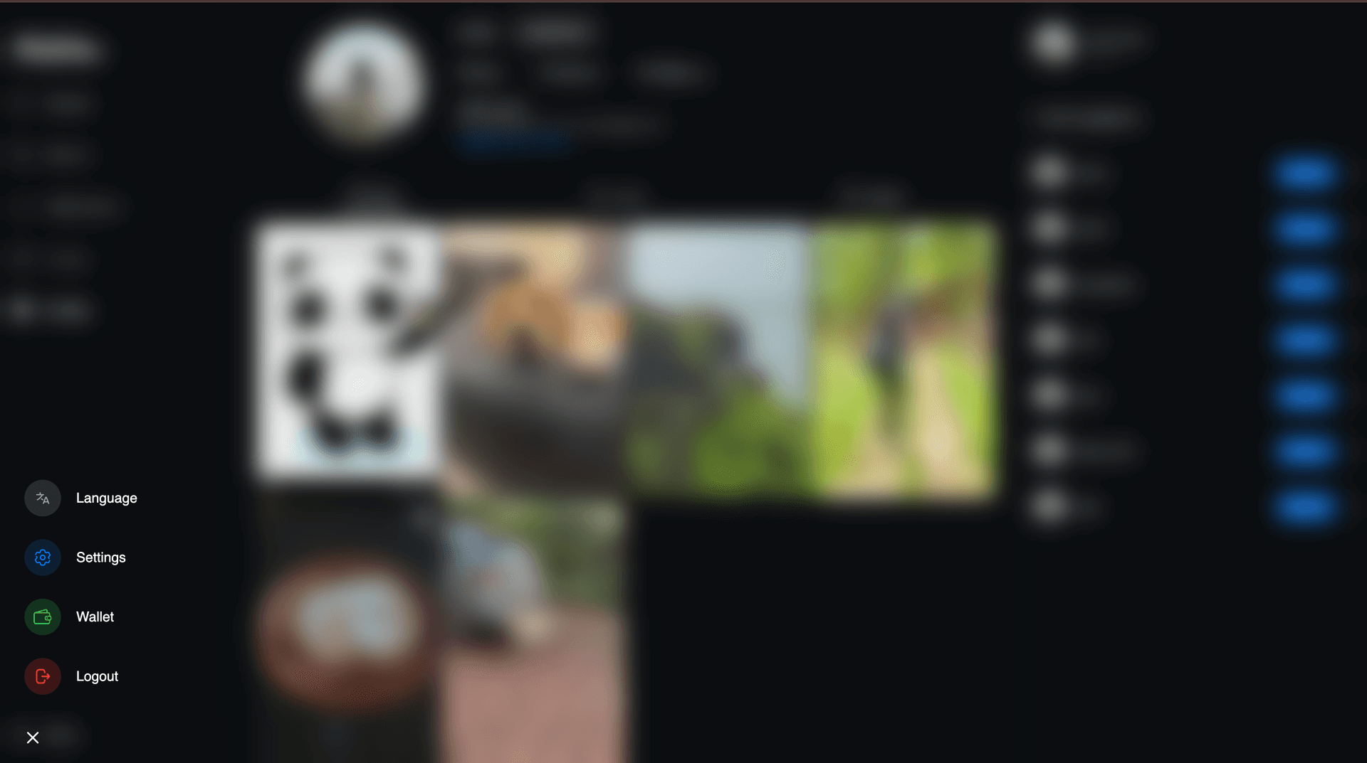 /projects/flickstar/flickstar15.png