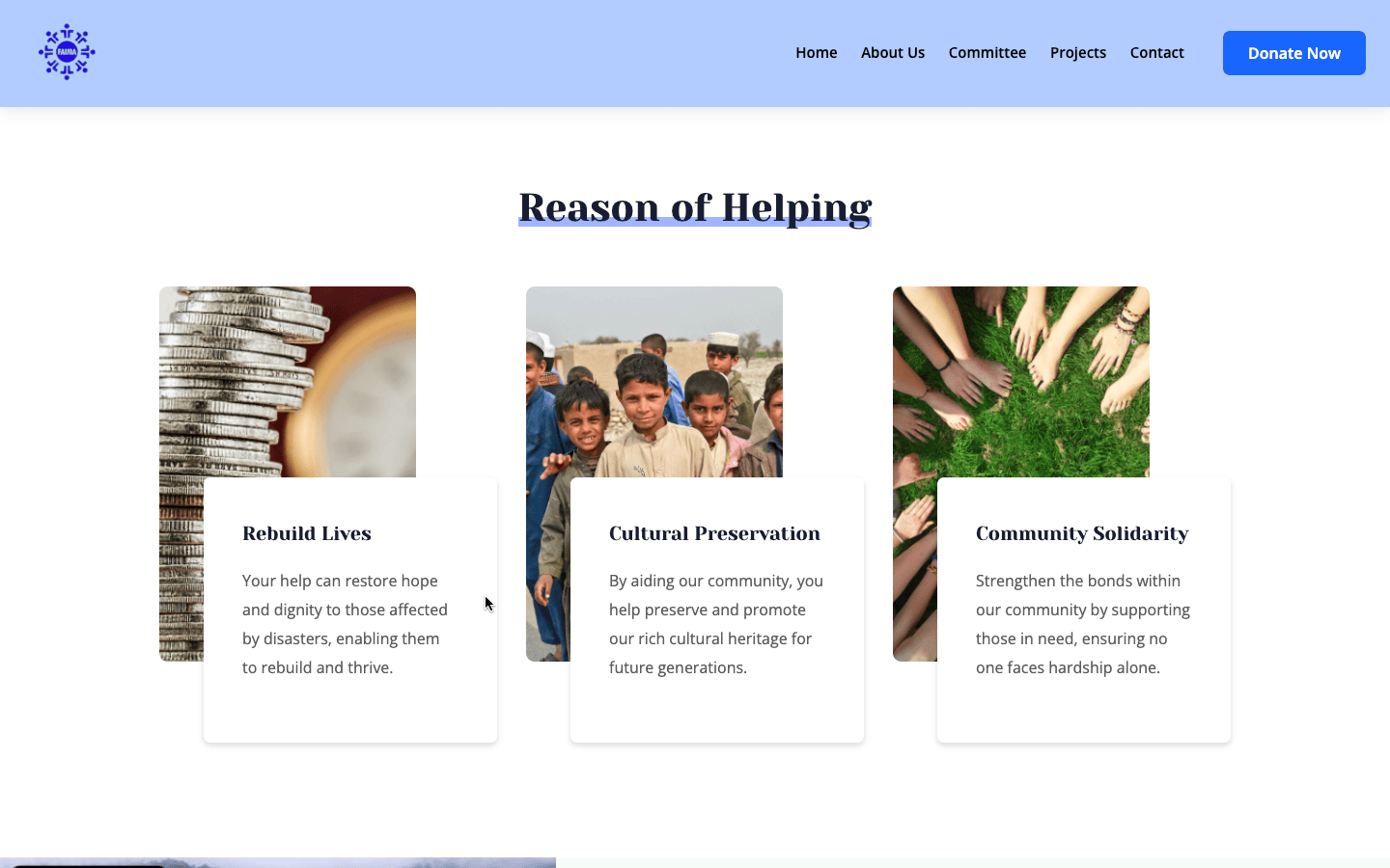 /projects/ngo/ngo3.png