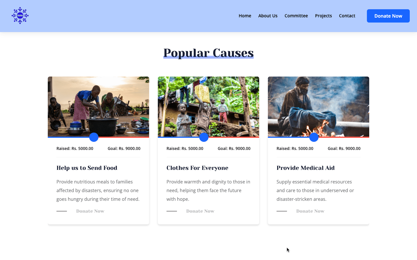 /projects/ngo/ngo4.png